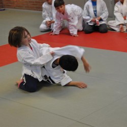 DSC 0126  Medium - Judoclub Zaventem 